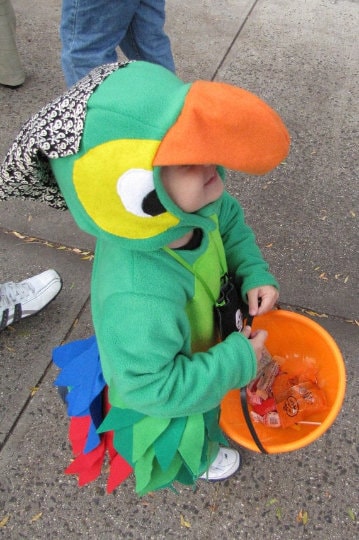 Kids Pirate Parrot Costume, Colorful Bird Dress Up, Halloween Outfit