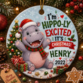Hippo Christmas Ornament, Cartoon Animal Ceramic KeepsakePersonalized