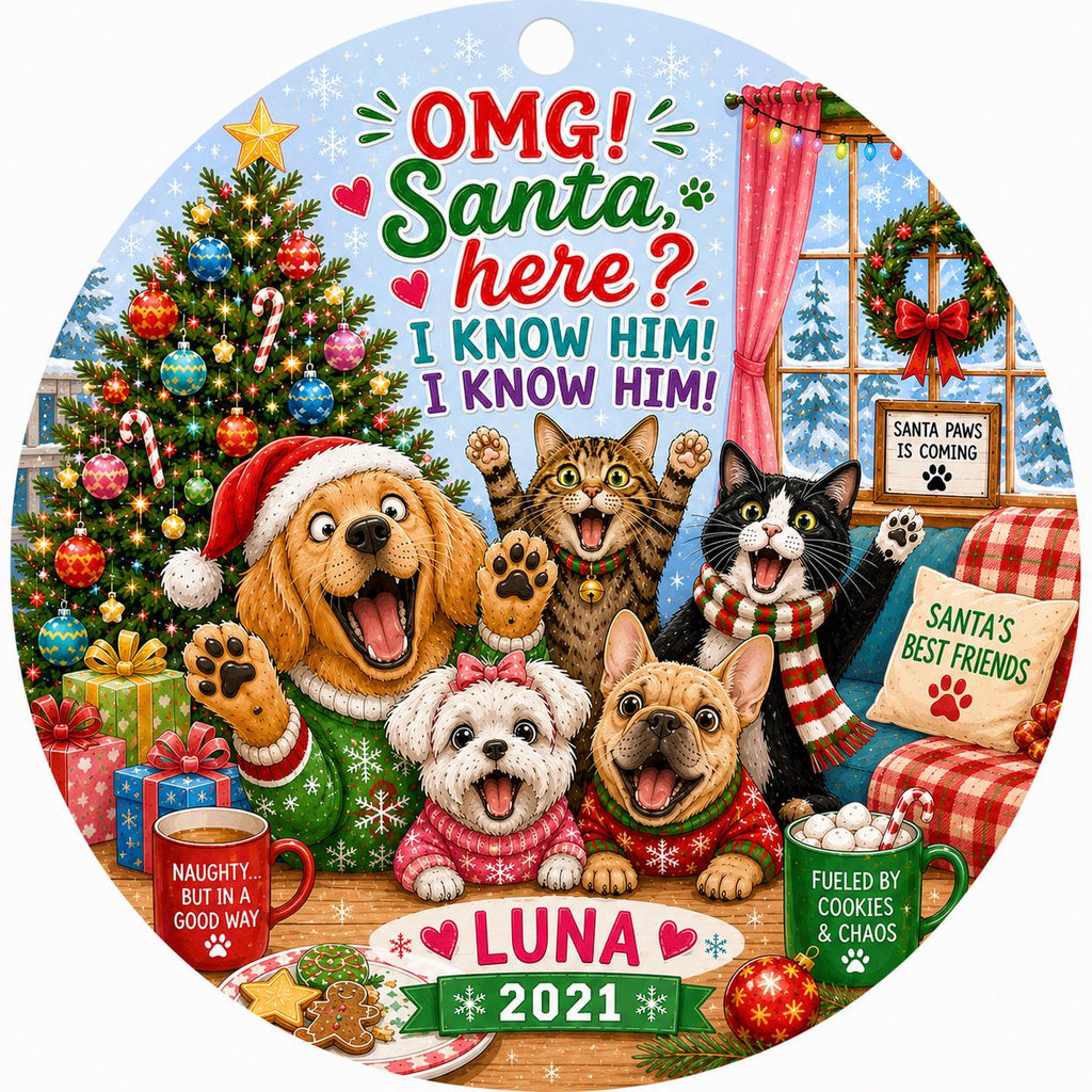 Pet Christmas Ornament, Funny Dog Cat Holiday Keepsake, OMG Santa HerePersonalized