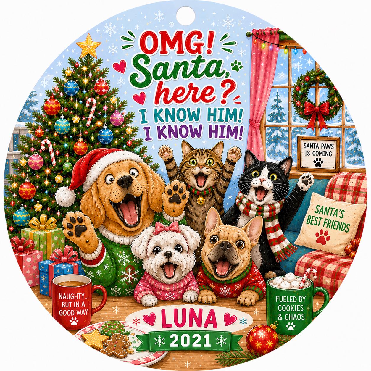 Pet Christmas Ornament, Funny Dog Cat Holiday Keepsake, OMG Santa HerePersonalized