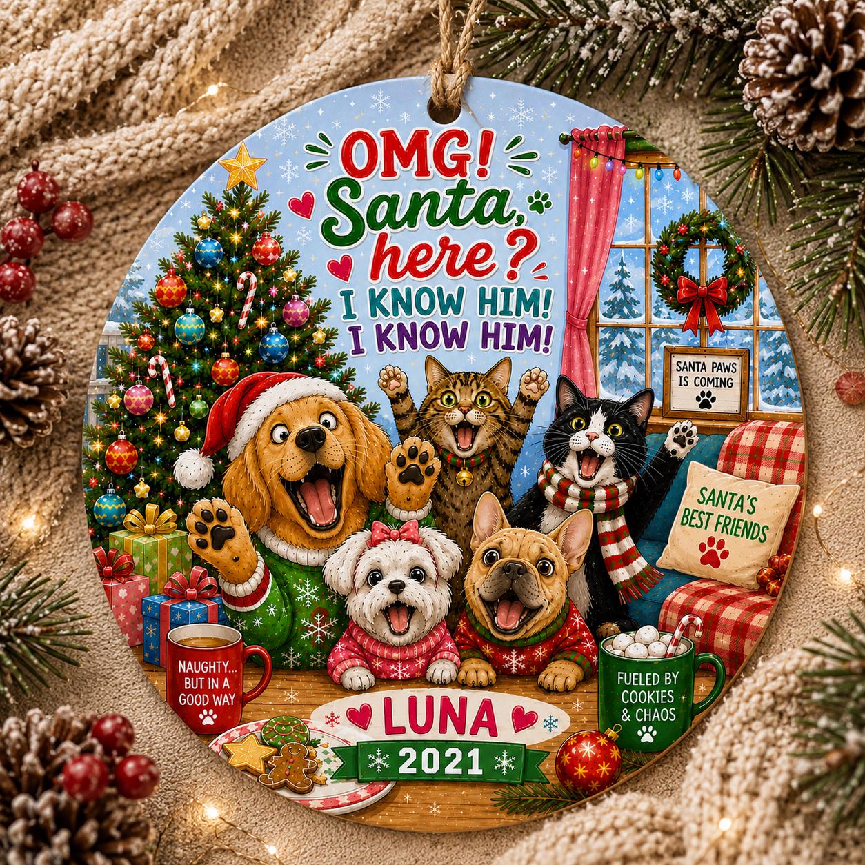 Pet Christmas Ornament, Funny Dog Cat Holiday Keepsake, OMG Santa HerePersonalized
